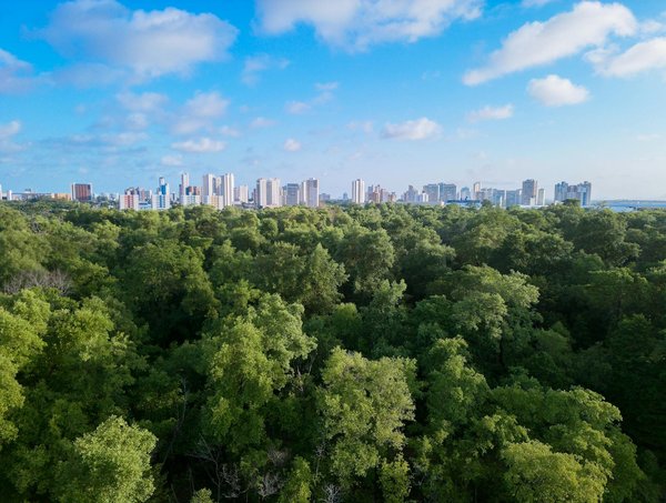 Obtenez votre carte grise à nantes : guide pratique des démarches