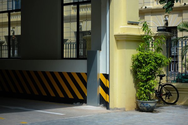 Les Innovateurs écolos : Les Entreprises Bio qui Préservent Notre Planète